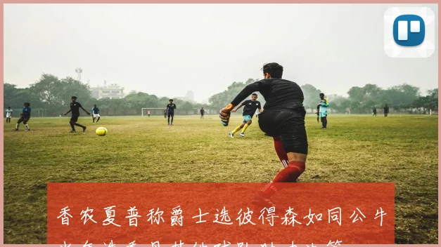香农夏普称爵士选彼得森如同公牛当年选乔丹其他球队助力决策